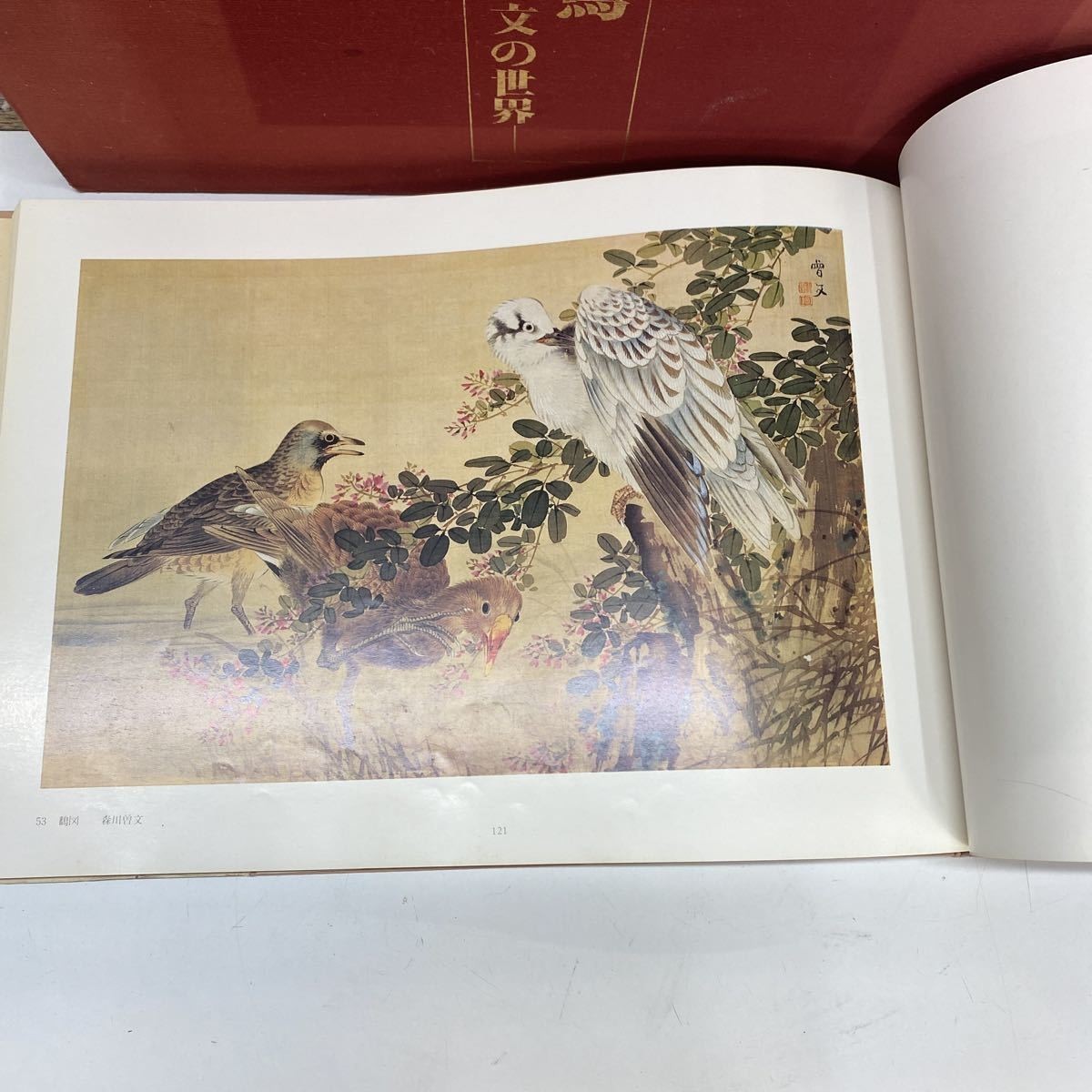 日本の花鳥画 明治 大正 昭和 の画家達 掛け軸 掛軸 美術書 資料 日本の花鳥画 明治 大正 昭和 の画家達 掛け軸 掛軸 美術書 資料