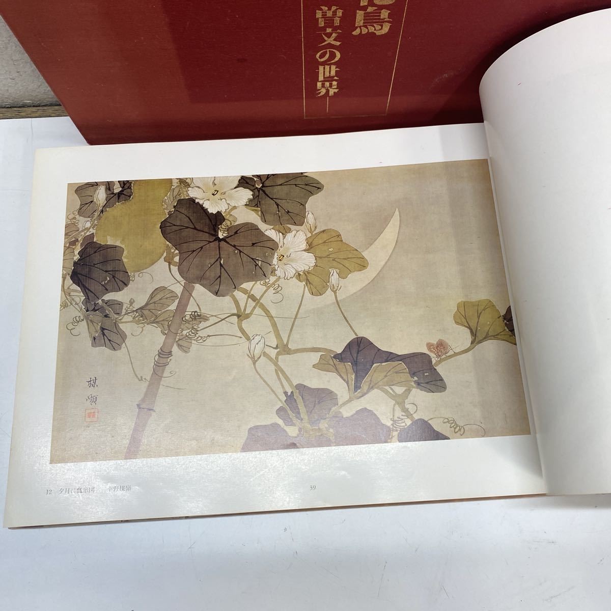 日本の花鳥画 明治 大正 昭和 の画家達 掛け軸 掛軸 美術書 資料 日本の花鳥画 明治 大正 昭和 の画家達 掛け軸 掛軸 美術書 資料