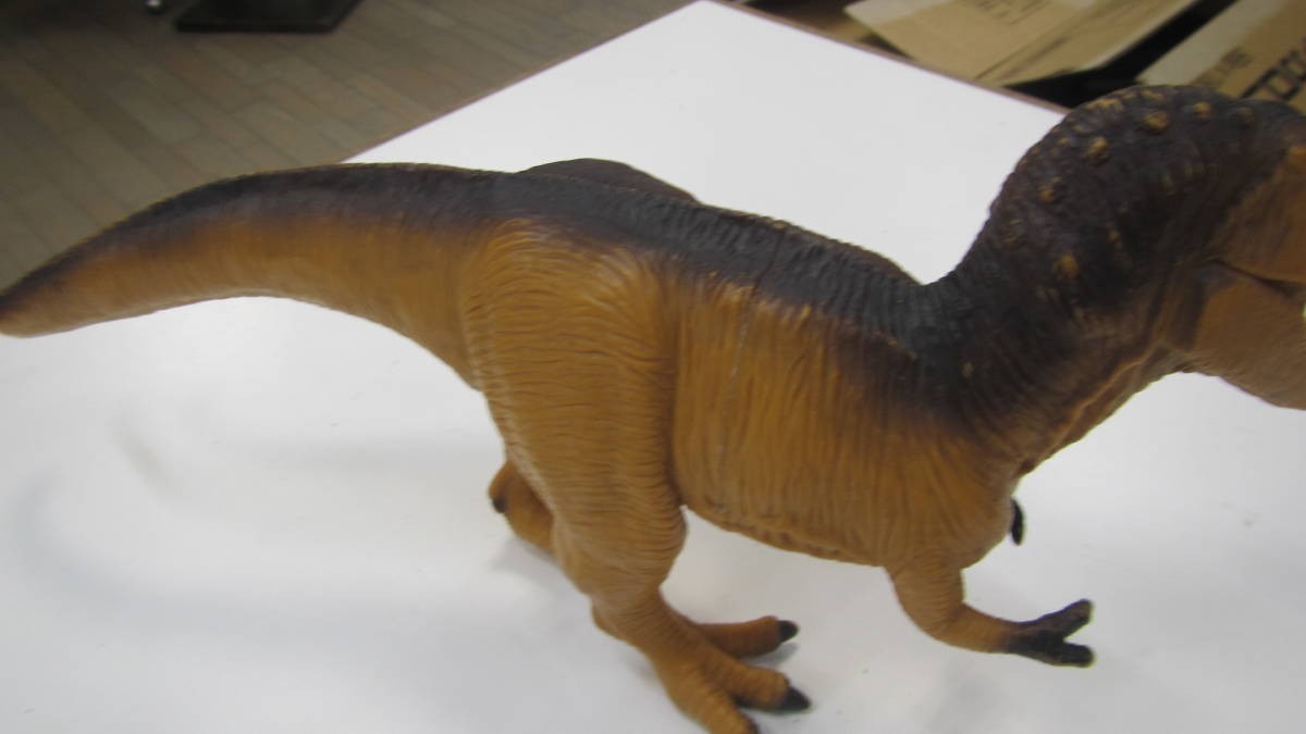 t-rex ティラノサウルス　（グレー）　 恐竜 フィギュア　rebor　ダイナソーリア papo 　ワイルドラッシュ 恐竜発掘記_画像4
