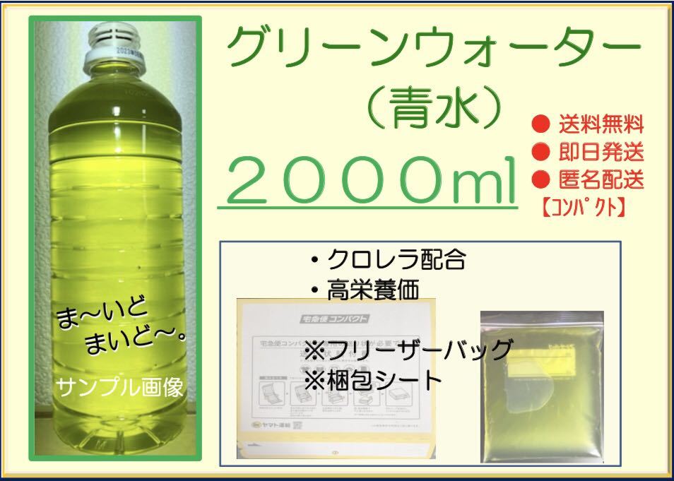 ●送料無料・匿名配送・即日発送● グリーンウォーター　2000ml 【青水 クロレラ 配合 ゾウリムシ タマミジンコ めだか 針子 稚魚 金魚 】_画像1