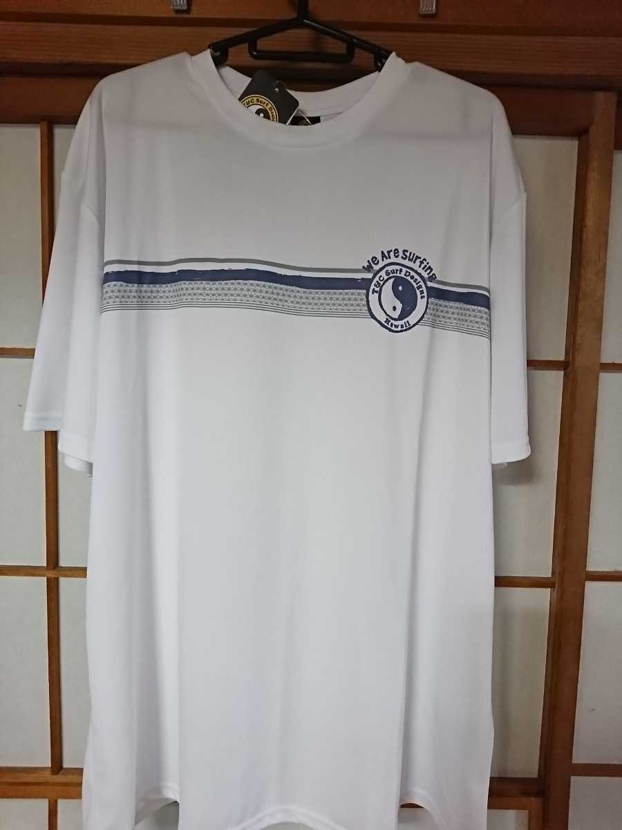 新品未使用 タウン&カントリー L 半袖Tシャツ 大きめ メンズ 紳士 部屋着 パジャマ トップス 制菌防臭 生乾き防臭 ナノファイン_画像2