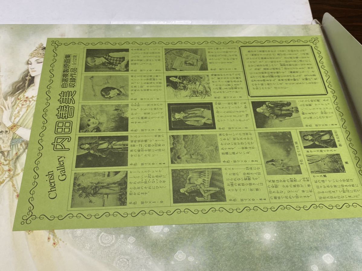 内田善美　自選複製原画集『少年たちの記憶』チェリッシュギャラリー　難あり　ゆうパック80サイズで発送_画像5