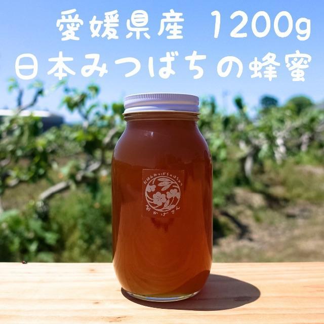 純粋100％ 日本蜜蜂の蜂蜜 1200g ”おかげさん” 愛媛県産 国産はちみつ