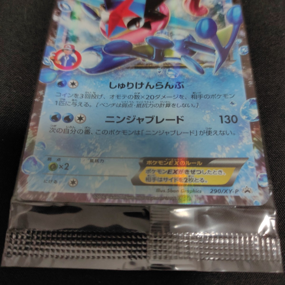 サトシゲッコウガEX 290/XY-P プロモ ポケモンカード www.lram-fgr.ma