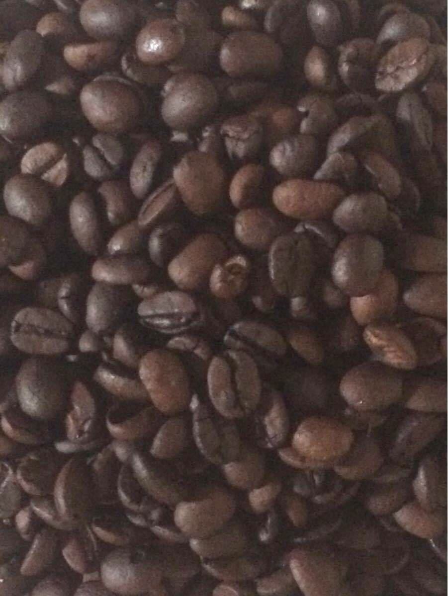 こだわりコーヒー豆 モカ 500g レケンプティ 中深煎り 自家焙煎珈琲