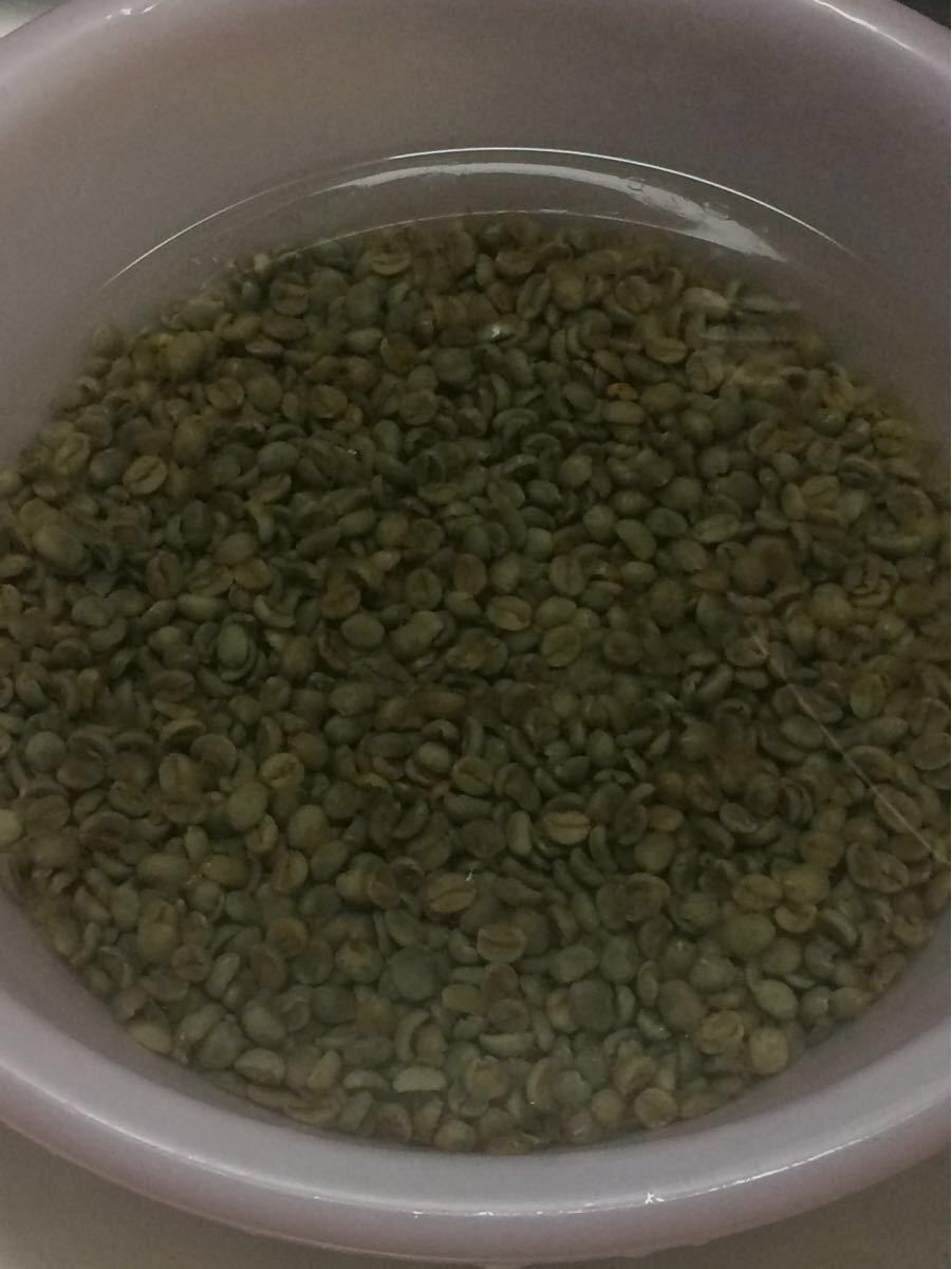 こだわりコーヒー豆 ブラジル 500g 中深煎り カルデミナス 自家焙煎珈琲