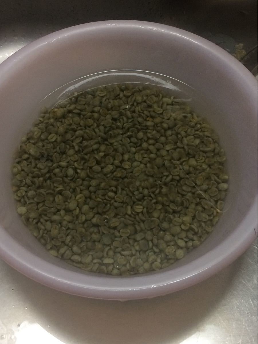 こだわりコーヒー豆 パプア・ニューギニア 300g 中深煎り ダイガット 自家焙煎珈琲