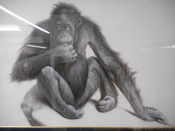 ヤフオク 絵画 アメリカで有名な動物画家 チャールズ リン