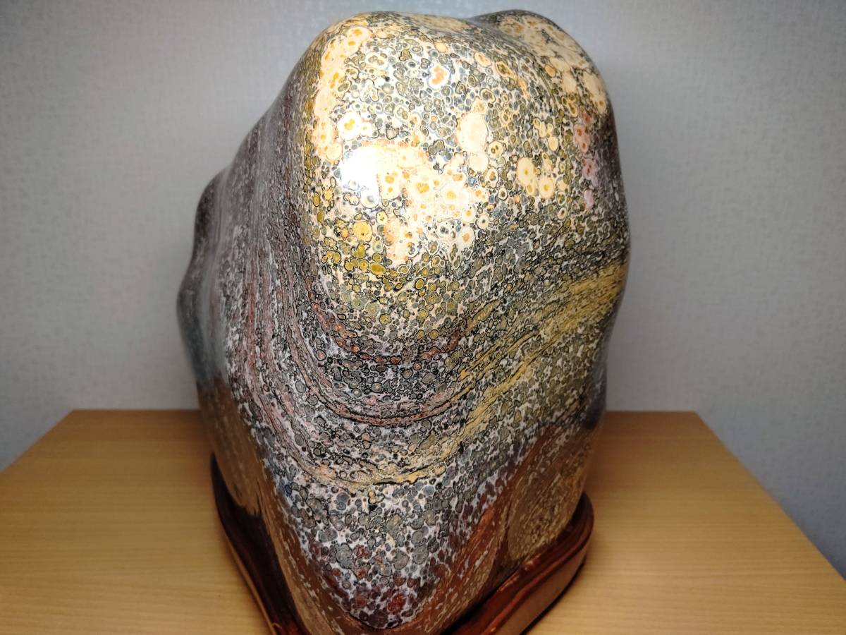 2021人気新作 レオパードジャスパー 26.4kg 碧玉 原石 鑑賞石 自然石 【初回限定】 26.4kg レオパードジャスパー 碧玉 豹柄 誕生石 自然石 鑑賞石 原石 その他