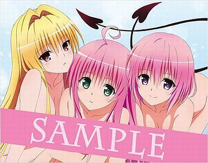 To LOVEる -とらぶる- ダークネス2nd ソフマップ全巻連動購入特典 B2タペストリー /未開封_画像1