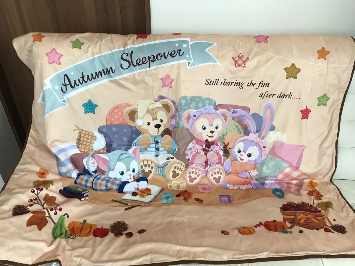 ディズニーシー オータムスリープオーバー ダッフィーのワッフルケット