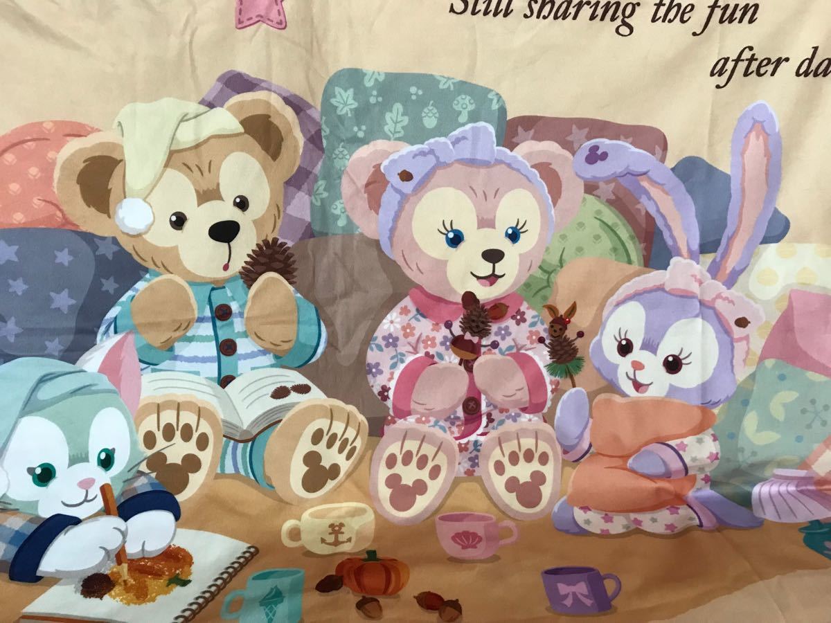 ディズニーシー オータムスリープオーバー ダッフィーのワッフルケット