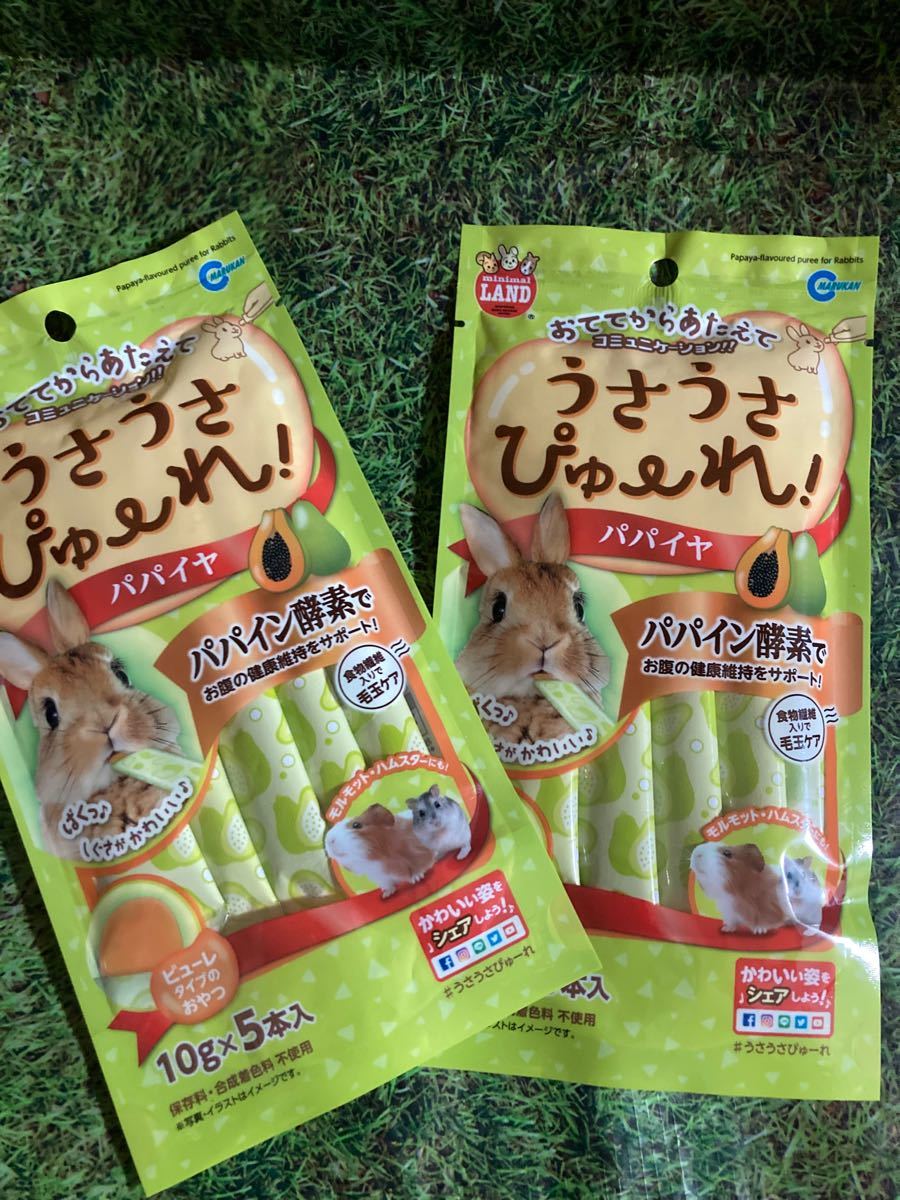 受賞店 うさうさぴゅーれ パパイヤ 5袋セット atak.com.br 受賞店 うさうさぴゅーれ パパイヤ 5袋セット atak.com.br