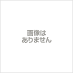 レジアスエース用 スクリューのみ 90164-40091 CBF-TRH200K トヨタ純正部品_画像1