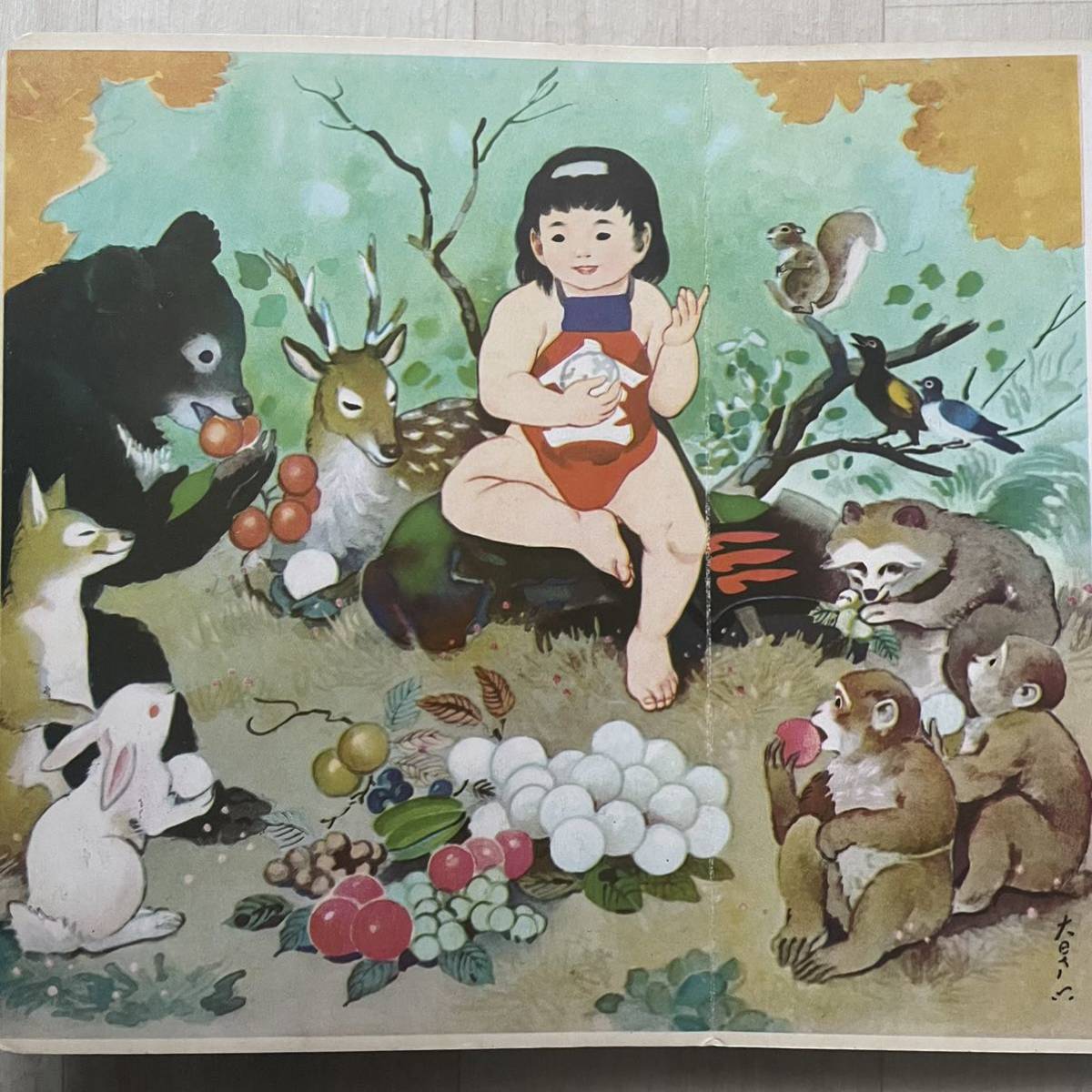 きんたろう ひかりのくに D デラックス絵本 金太郎 大日方明 きんたろう ひかりのくに D デラックス絵本 金太郎 大日方明