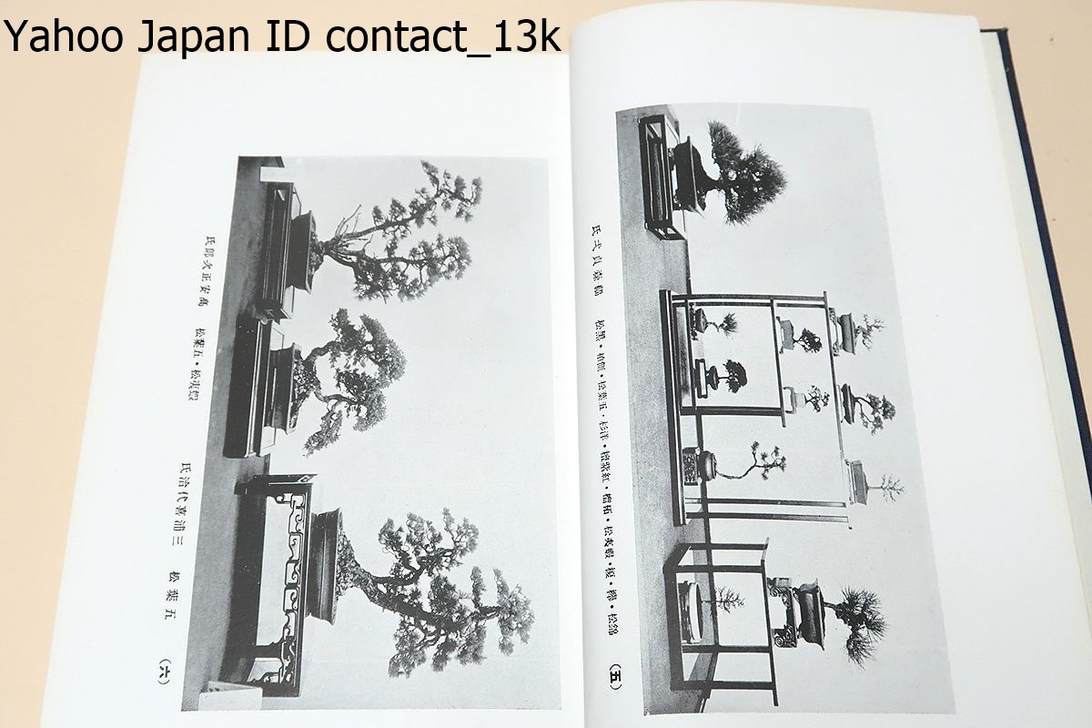  country manner bonsai exhibition .* the first times contains 16 pcs. / country manner bonsai exhibition .. person * Kobayashi . male / not for sale / Japan most old. history . have . most . Revell .. style. high bonsai exhibition as abroad also famous 