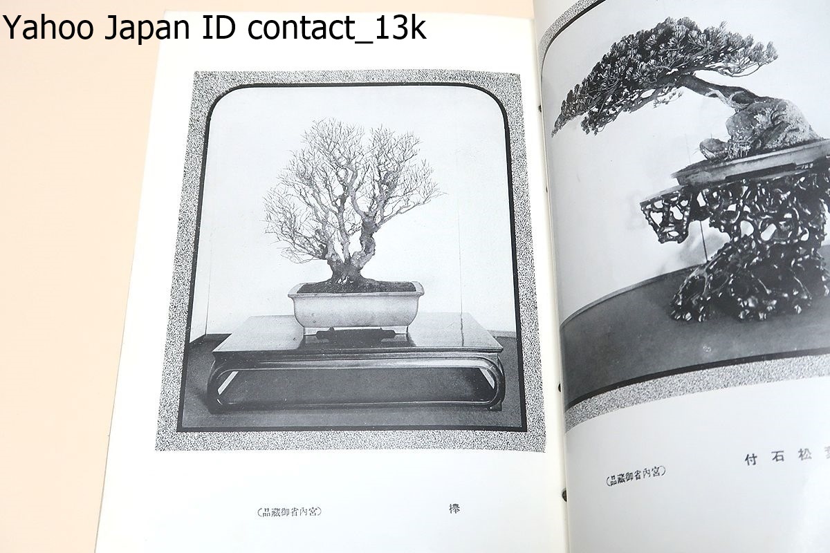  second times country manner bonsai exhibition ./ country manner bonsai exhibition. .. person * Kobayashi . male / not for sale / Showa era 10 year / Japan most old. history . have . most . Revell .. style. high bonsai exhibition as abroad also famous 