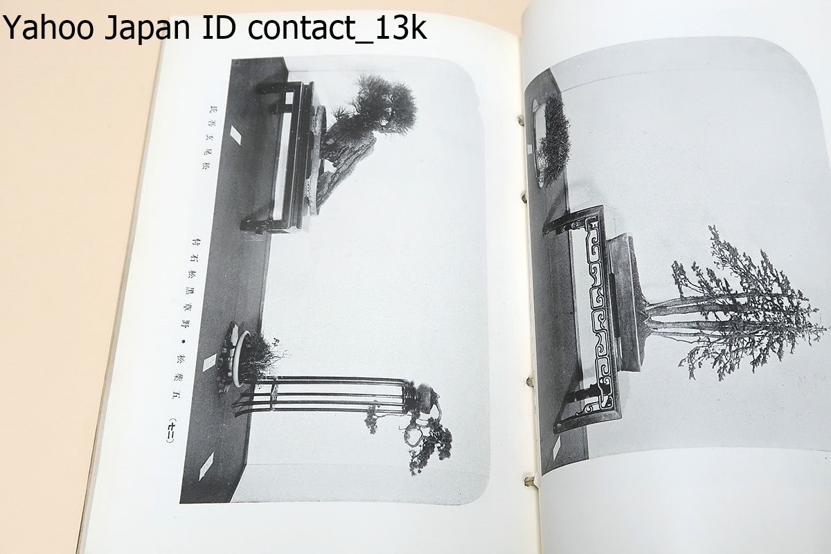  second times country manner bonsai exhibition ./ country manner bonsai exhibition. .. person * Kobayashi . male / not for sale / Showa era 10 year / Japan most old. history . have . most . Revell .. style. high bonsai exhibition as abroad also famous 