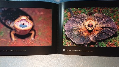 英語動物写真集「Reptilles and Amphibiants爬虫類と両生類」内山りゅう著 Chronicle 1999年