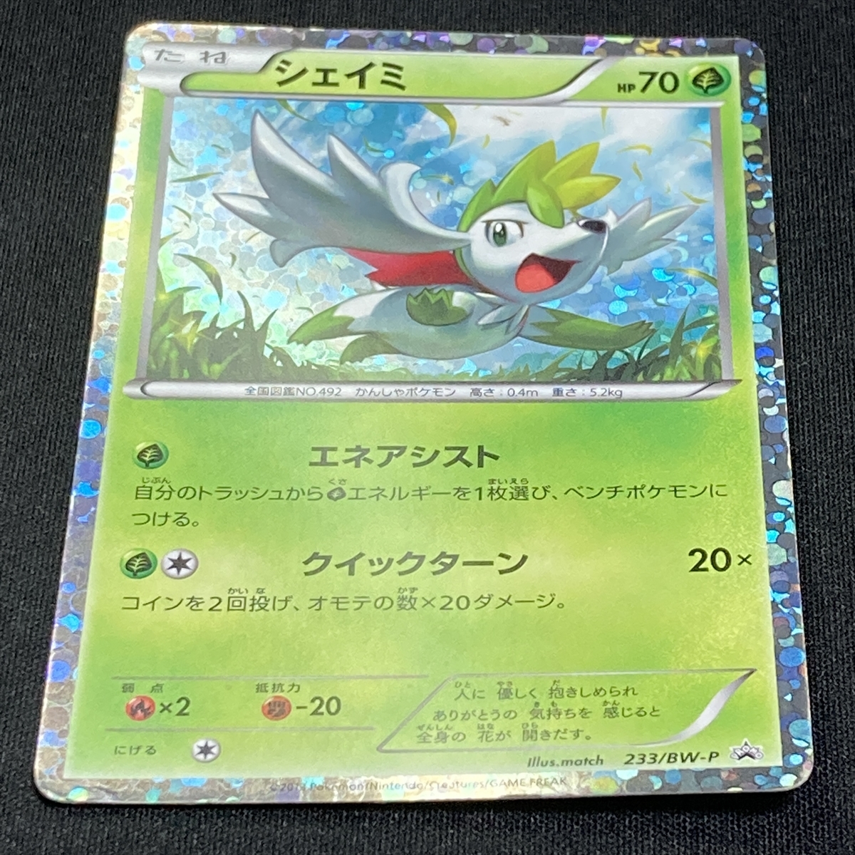 ヤフオク Shaymin No 233 Bw P Promo Pokemon Card Holo J