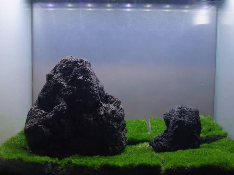 ADA 雲山石 天然 溶岩石 水槽レイアウト アクアリウム ADA 雲山石 天然 溶岩石 水槽レイアウト アクアリウム