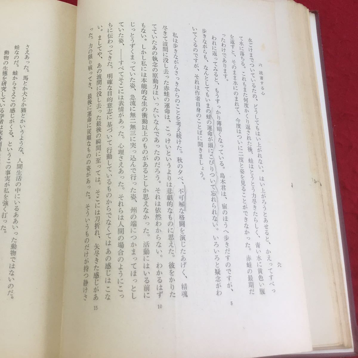 YN21 senior high school new selection present-day national language one poetry word . life novel article introduction new .. Shimizu writing male Shimizu writing male Takasaki regular preeminence middle rice field festival Hara corporation furthermore . books Showa era 45 year 