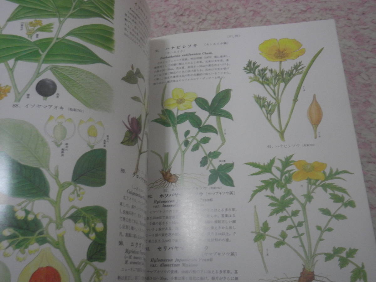 原色牧野植物大図鑑続編 牧野新日本植物図鑑から野生種、栽培種、帰化