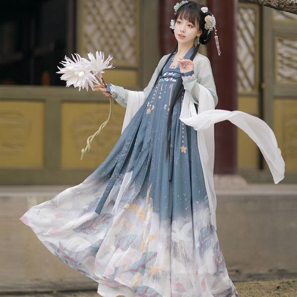 漢服 唐装 レディース 振袖 引き裾 マキシー丈 広い袖 女性 中華服 写真撮影 古風 ステージ衣装 コスプレ衣装 仮装 学園祭 おしゃれ wc207