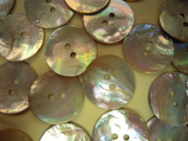 アコヤ貝（パールシェル）のボタン ３５ｍｍ ６個