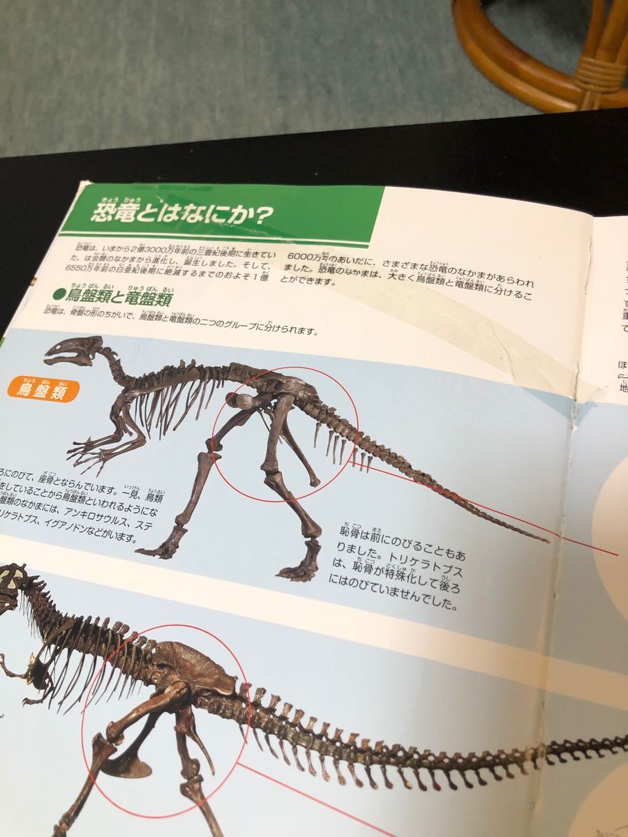 講談社 動く図鑑MOVE 恐竜