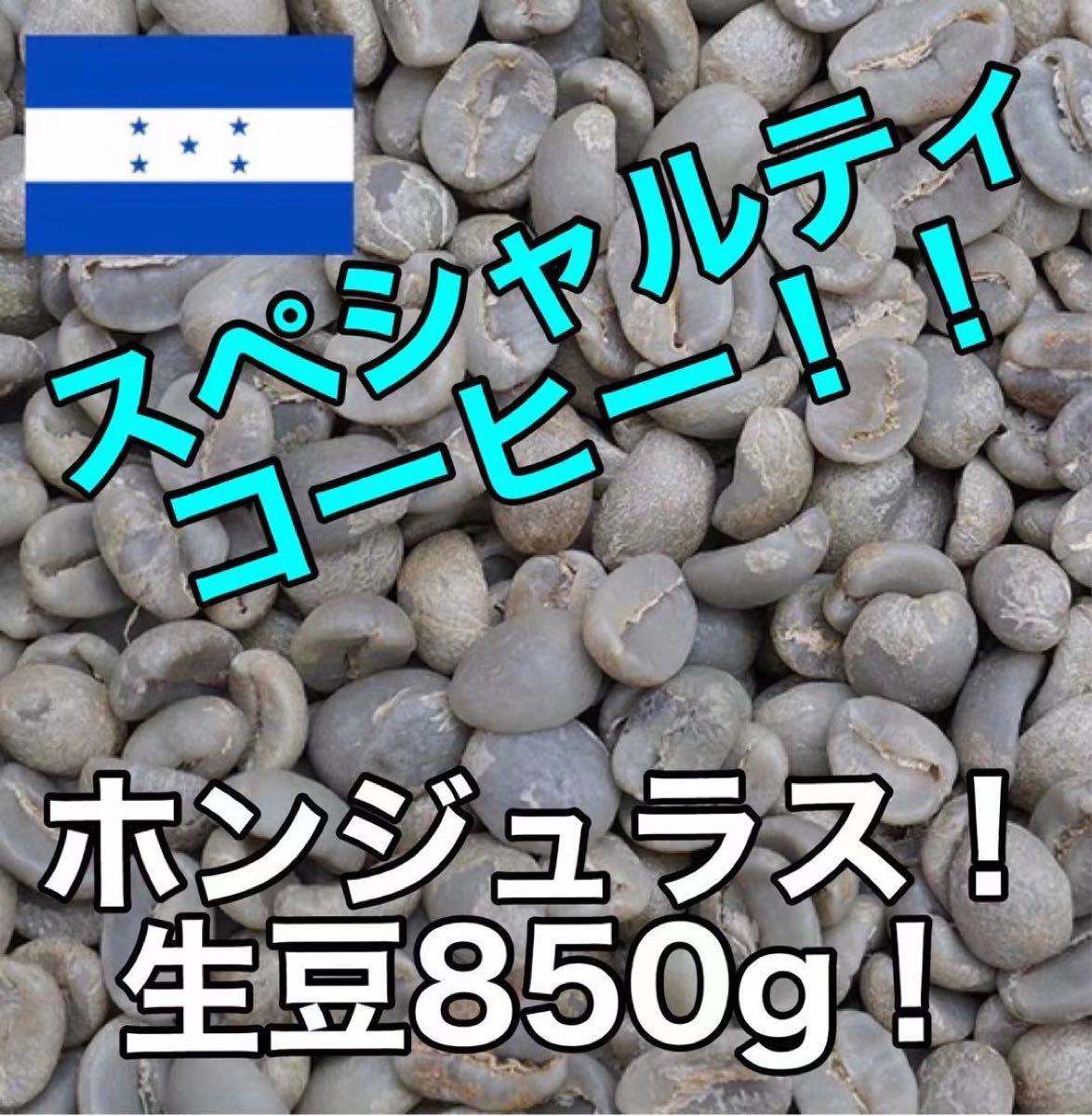 スペシャルティコーヒー！ホンジュラス　ラス・クチージャス農園　生豆850g