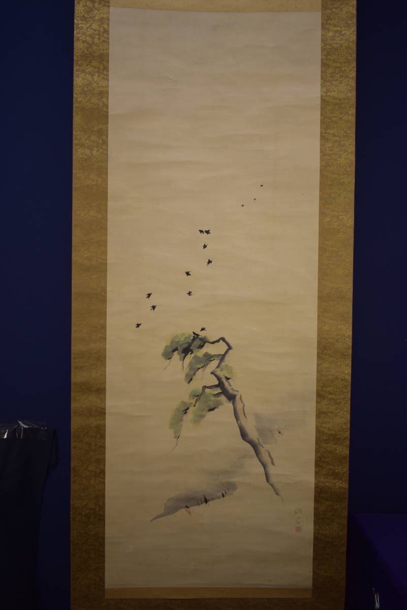 真作/田中納言/松に鳥図/絹表装/桐題箱付/布袋屋掛軸HI-716 真作】//田中納言/松に鳥図/絹表装/桐題箱付/布袋