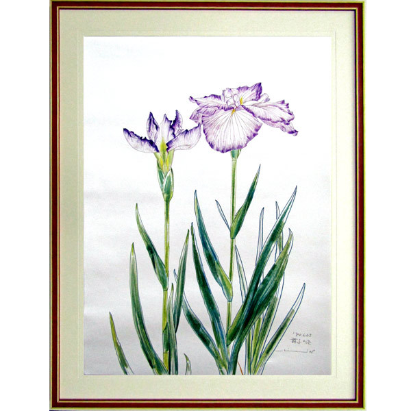 中島千波『花菖蒲・舞子の浜 花の写生12葉より』複製画 中島千波『花菖蒲・舞子の浜 花の写生12葉より』複製画