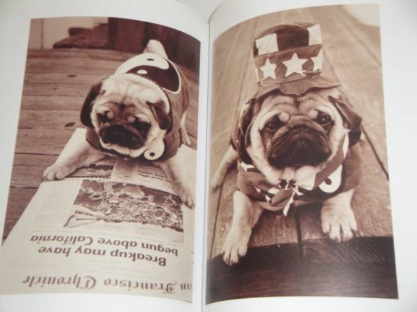  prompt decision Pug photoalbum The Tao of Pug foreign book 