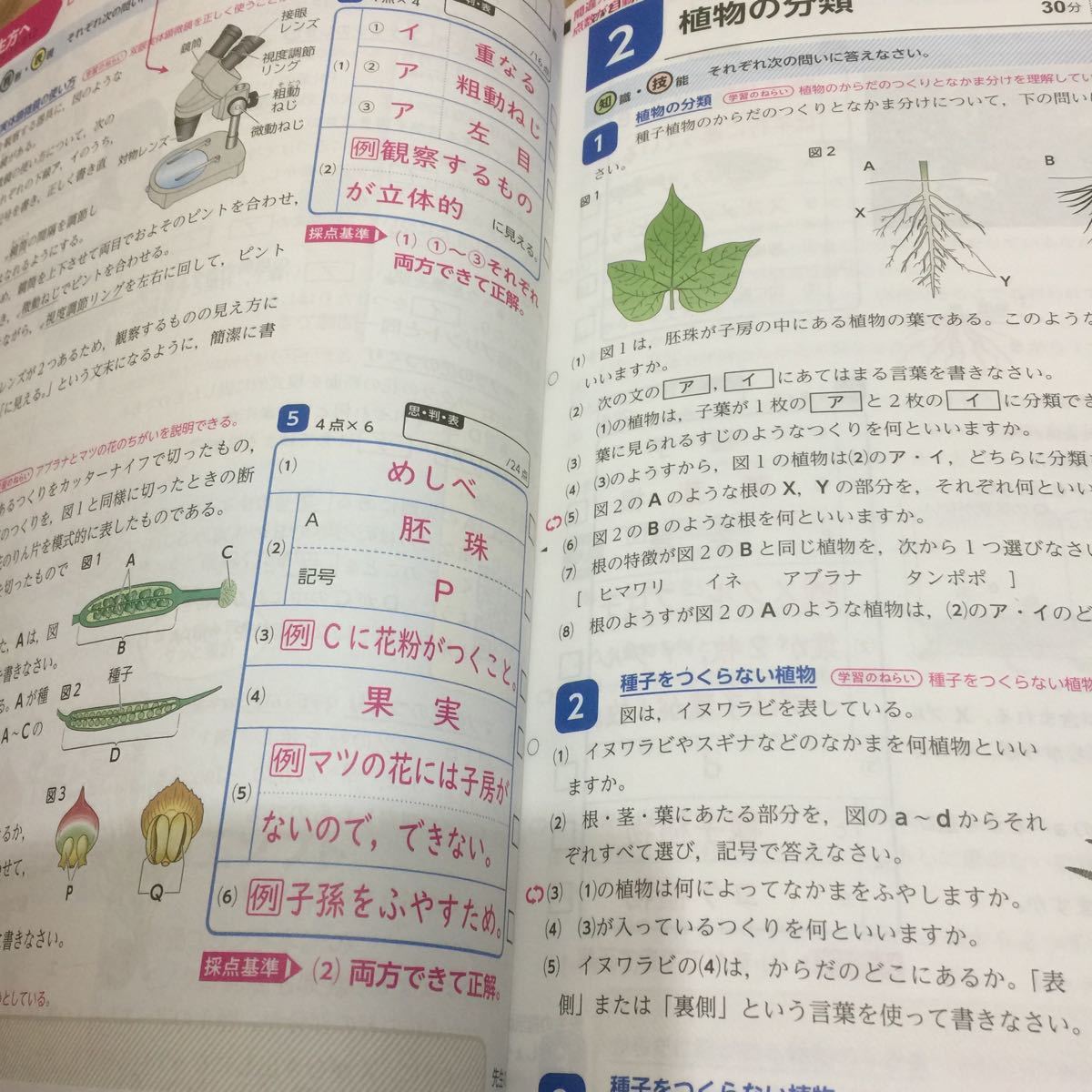 Paypayフリマ 理科1年 中1 令和3年 21年度 東京書籍参考 学校専用 新学習指導要領 観点別評価wプリント ダブルプリント 教師用 全教科書対応 解答