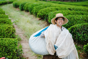 自然栽培 玄米茶(60g)☆奈良県産☆農薬・肥料不使用で育てた一番茶で作った煎茶と、特選の炒り玄米を贅沢にブレンド♪お米の食事にマッチ☆
