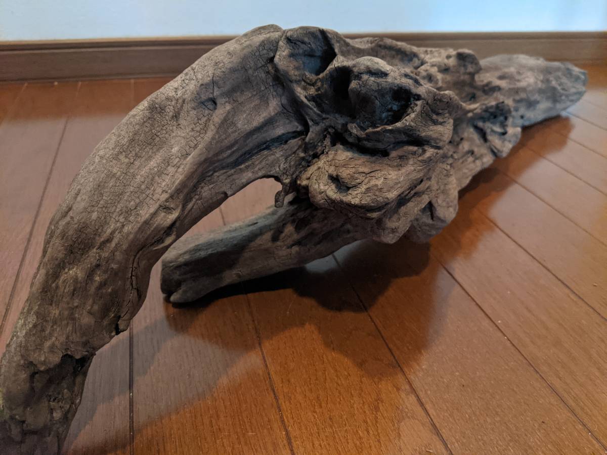 高級品市場 オブジェ アクアリウム 1点物 水槽 天然流木 アート 魚 隠れ家 トカゲ へび インテリア 大型 爬虫類 大和川河口 85 15 18cm レイアウト用品 Artinterstellar Com 高級品市場 オブジェ アクアリウム 1点物 水槽 天然流木 アート 魚 隠れ家 トカゲ へび インテリア 大型 爬虫類 大和川河口 85 15 18cm レイアウト用品 Artinterstellar Com