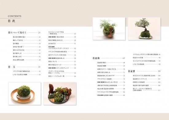 [ new goods ] most hoe .. moss. textbook kokedama * moss bonsai * moss tray .* moss terrarium regular price 2,000 jpy 