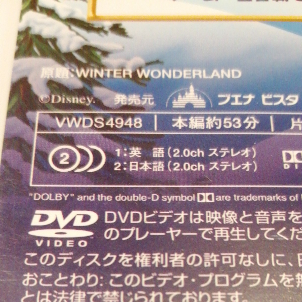 ディズニーのウィンターワンダーランド　DVD