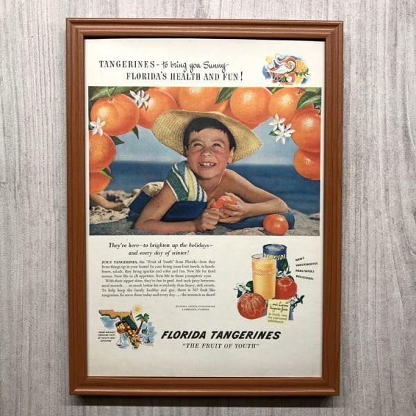 ◆即決◆1948年(昭和23年) FRORIDA TANGERINES オレンジジュース【B4-7017】アメリカ ビンテージ雑誌広告【B4額装品】当時物広告 ★同梱可_画像1