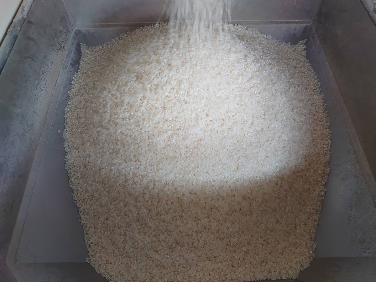 2021年 三重県産 コシヒカリ 精米済み 白米 正味 ５kg　_画像5
