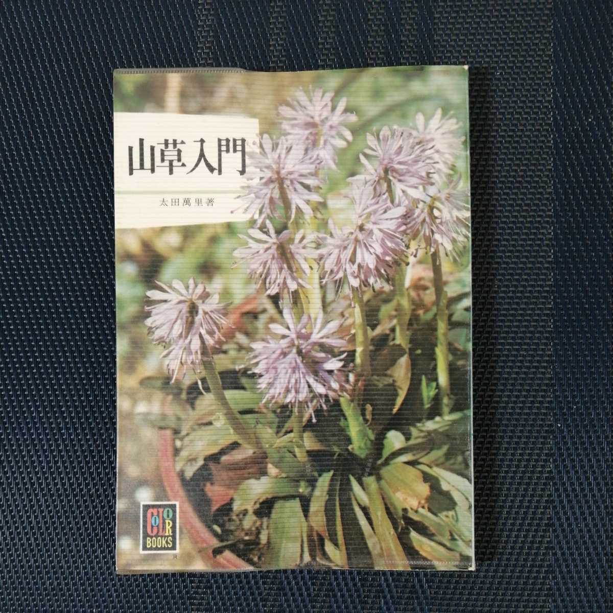 [ mountain . introduction ] color books 326 large rice field .. work Hoikusha 