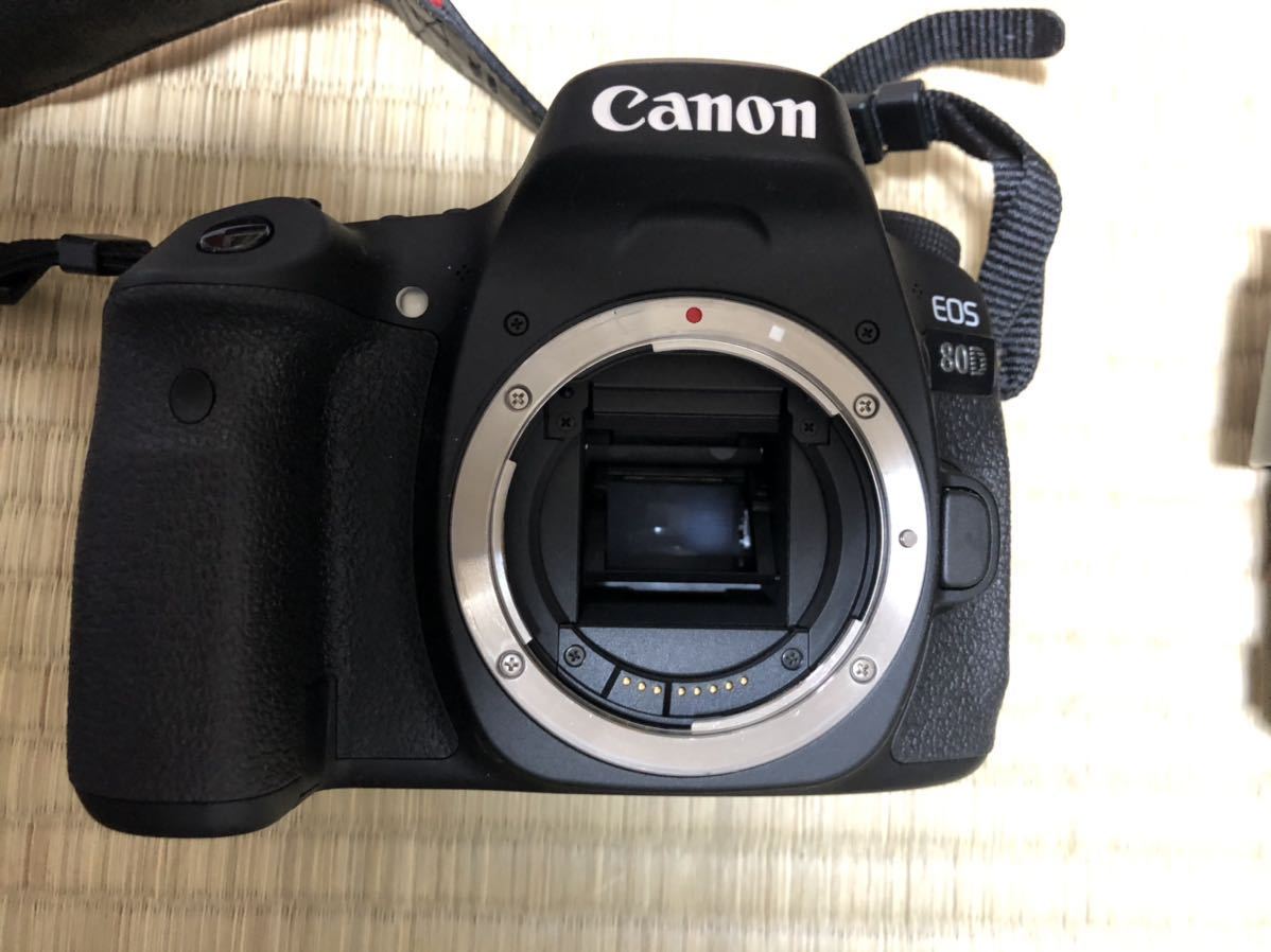 割引クーポン 【美品】Canon キヤノン EOS 80D レンズ一本　スピードライト一本 キヤノン