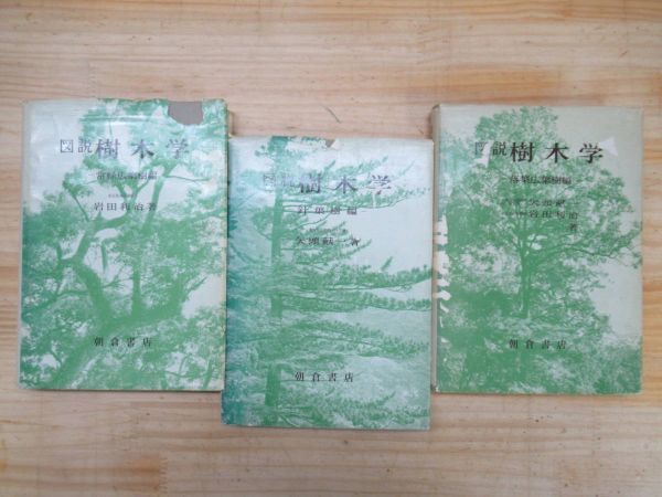r32* map opinion [ tree .] evergreen wide leaf . compilation / needle leaved tree compilation /. leaf wide leaf . compilation total 3 pcs. set Iwata profit . arrow head . one the first version 1966 year Showa era 41 year morning . bookstore except .book@210113