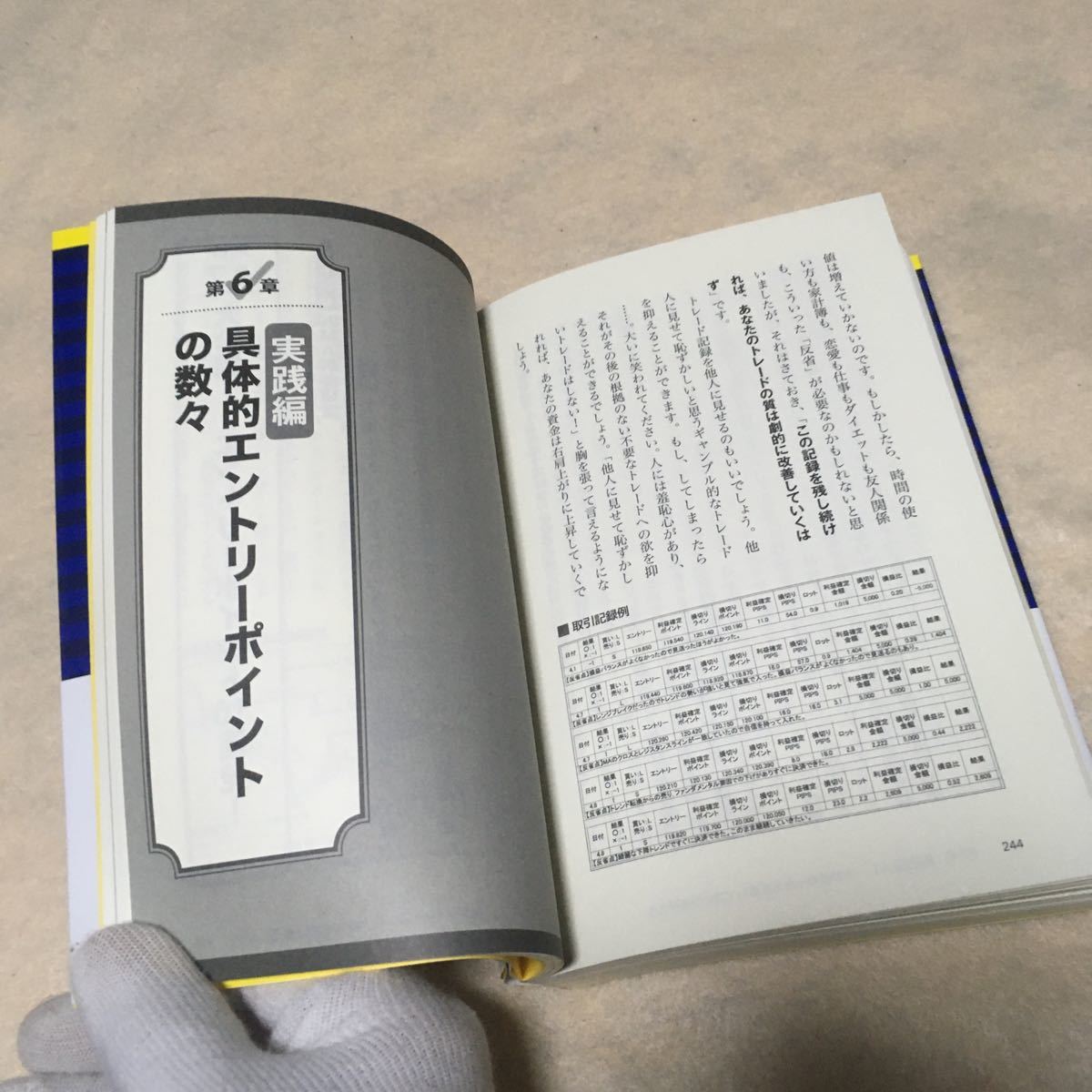 確実に稼げるFX副業入門/堀祐士