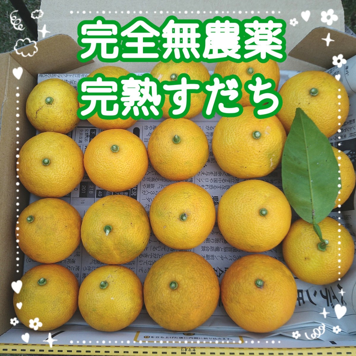 【今年もスタート】完全無農薬!完熟すだち 約1.0kg
