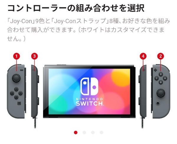 Nintendo Switch ストア限定版 カラーカスタマイズ+