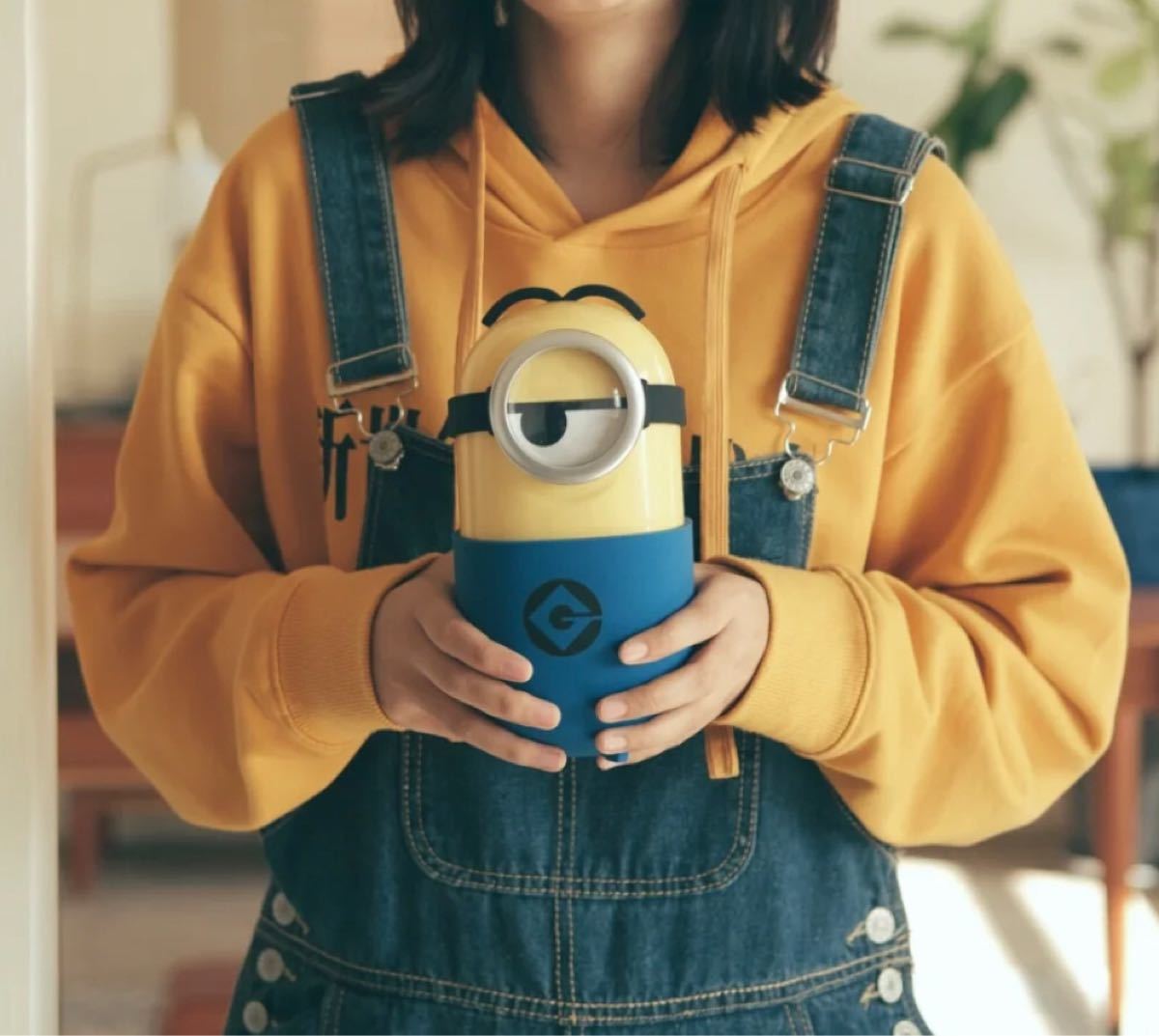 LAMY x MINIONS コラボ ミニオン万年筆セット | www.csi.matera.it