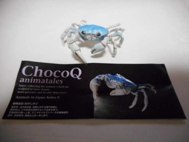 チョコQ 日本の動物 第９弾 サワガニ（淡青色型） ２２１a