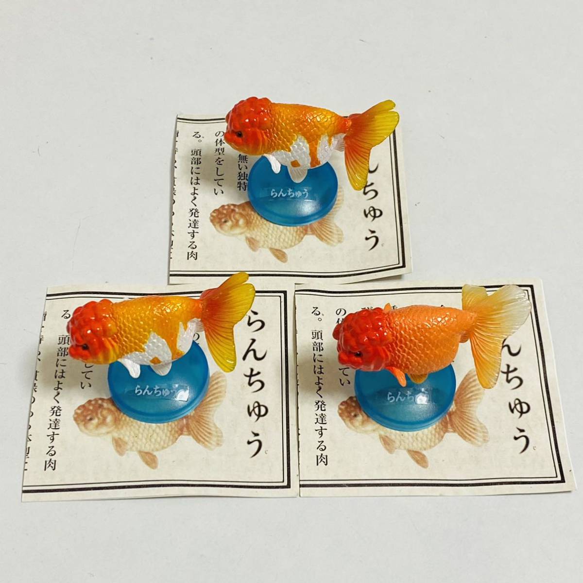 美品】金魚伝承 フィギュア 9個セット らんちゅう 土佐金 タンチョウ